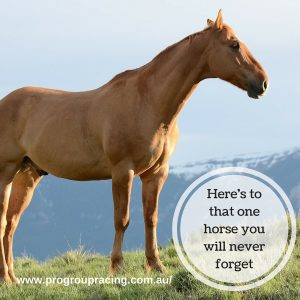 you will never forget horse racing meme