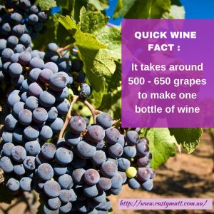 quick-fact-wine-memes